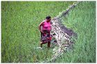 Nepal 8